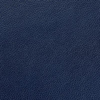 Cambridge Delft Blue swatch