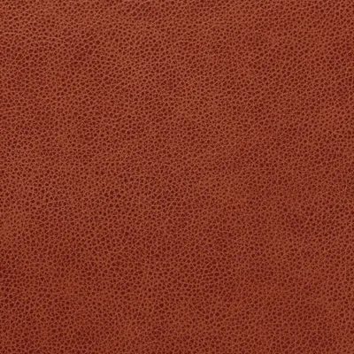 Cambridge Derby swatch