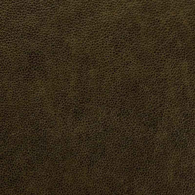 Cambridge Forest swatch