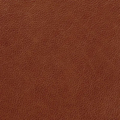 Cambridge Lark swatch