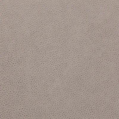 Cambridge London Fog swatch
