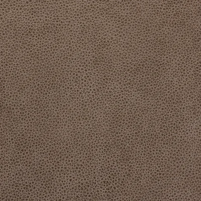 Cambridge Mushroom — Cambridge swatch, view 1