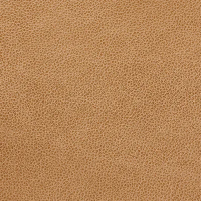 Cambridge Parchment — Cambridge swatch, view 1