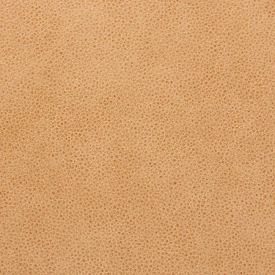 Cambridge Sand — Cambridge swatch, view 1