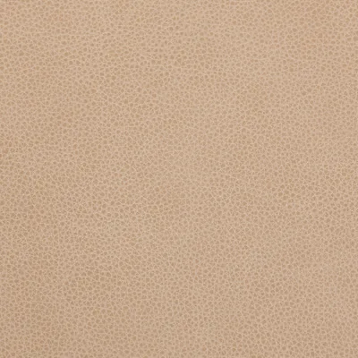 Cambridge Stone — Cambridge swatch, view 1