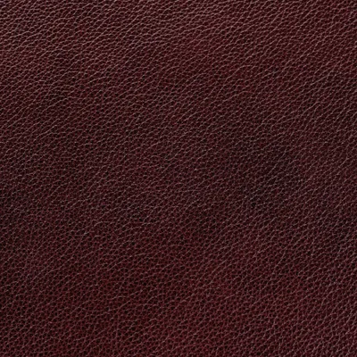 Cambridge Ruby — Cambridge swatch, view 1