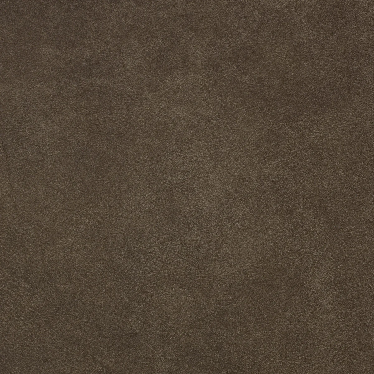 Cordoba Lichen swatch