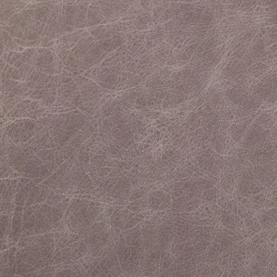 Crackedwax Ash — Crackedwax swatch, view 1