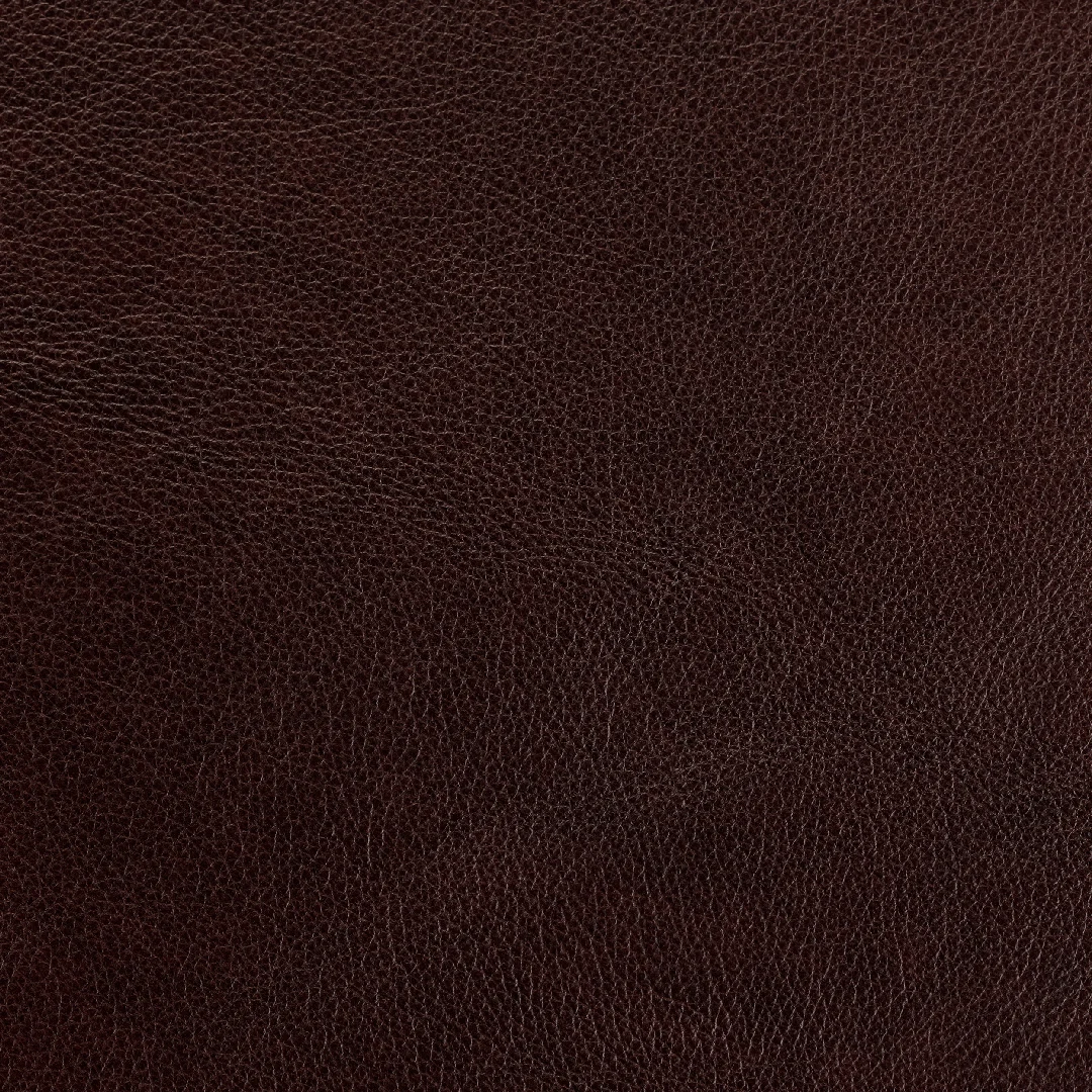 Dante Espresso swatch