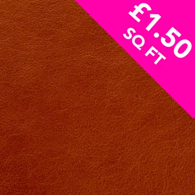 Blake Clay swatch