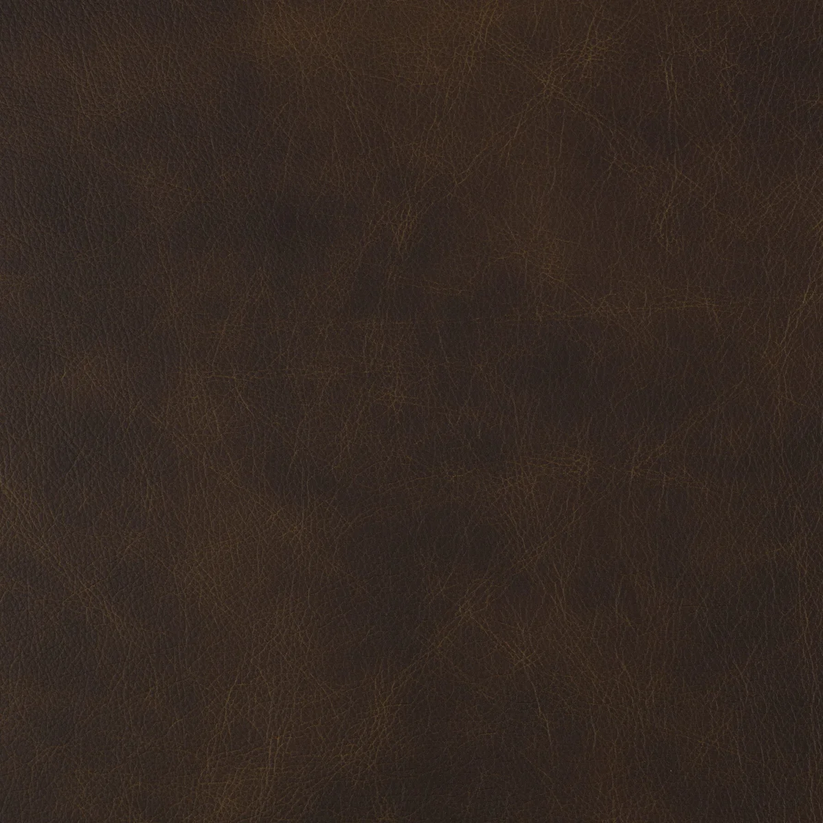 Eastwood Chaps swatch