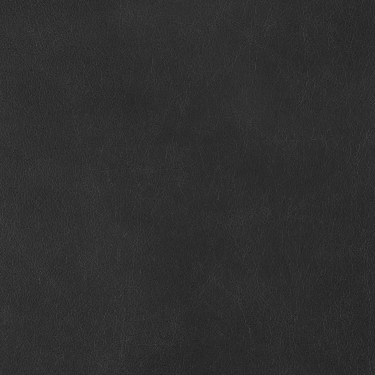 Eastwood Raw Denim swatch