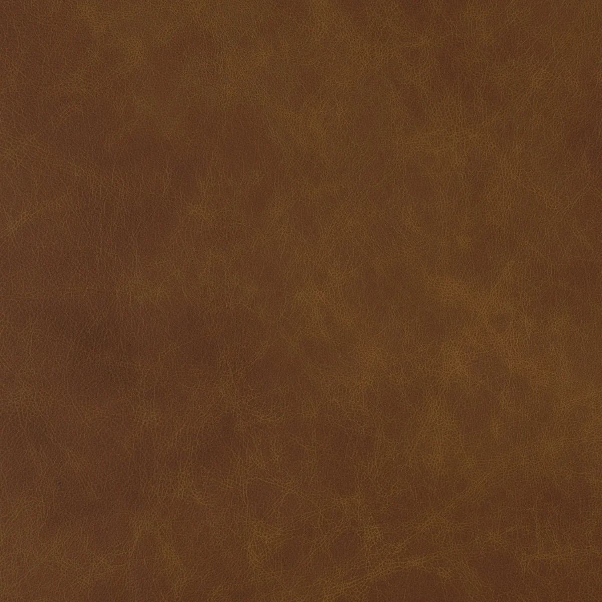 Eastwood Sunrise swatch