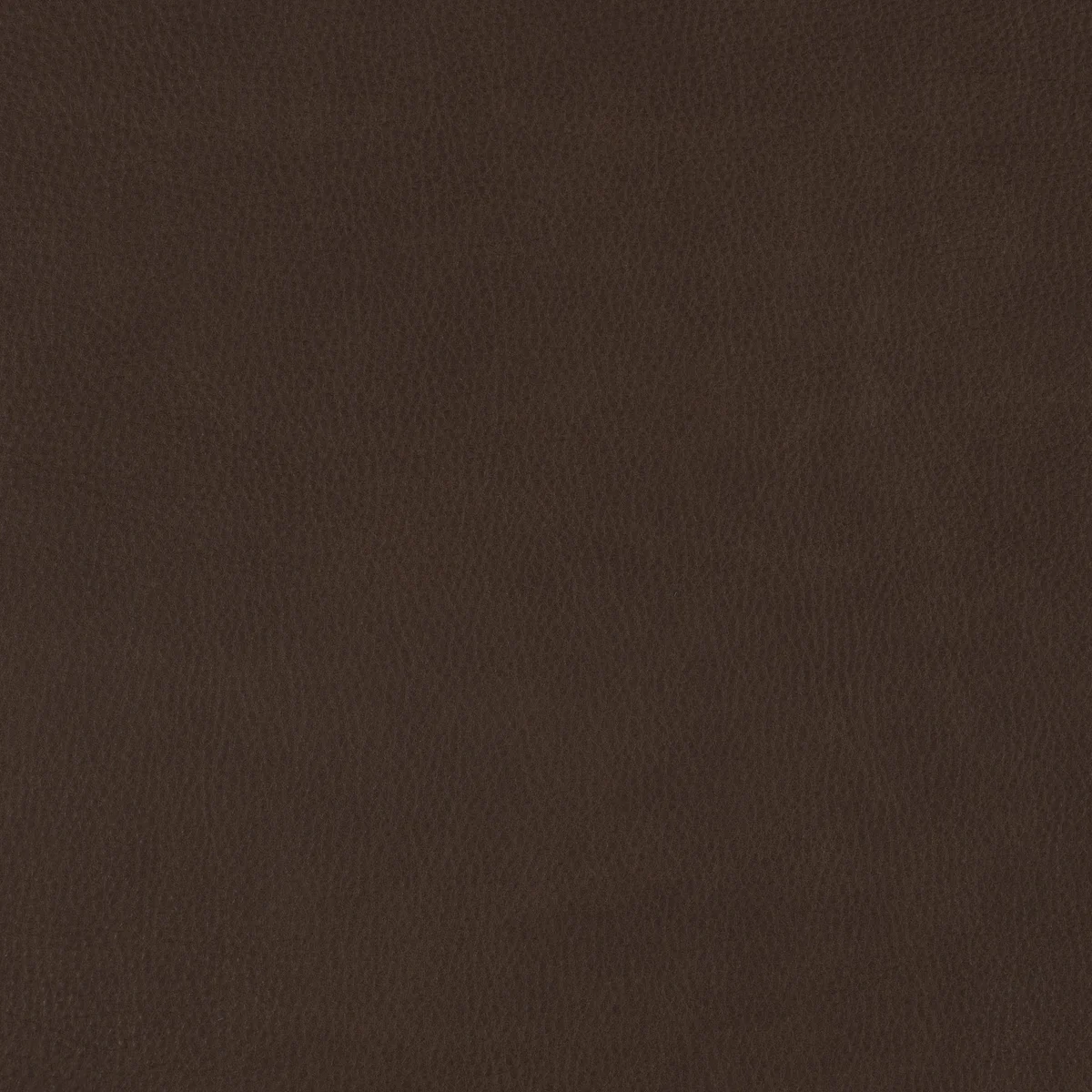 Harlow Bedrock swatch