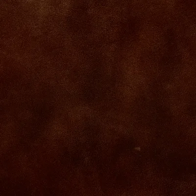 Legacy Bike Tan swatch