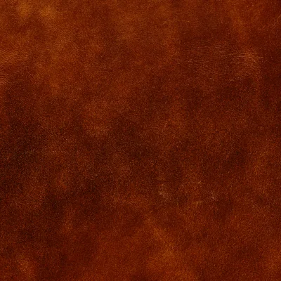Legacy Brown — Legacy swatch, view 1