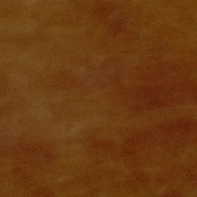 Legacy Cappuccino swatch