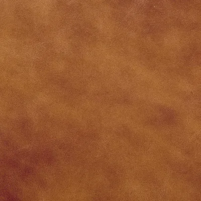 Legacy Dark Caramel swatch