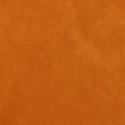 Legacy Fire Coral swatch