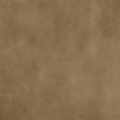 Legacy Taupe — Legacy swatch, view 1