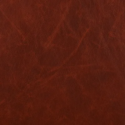 Milo new — Milo swatch, view 1