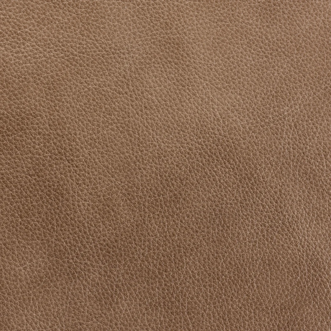Mission Corda swatch