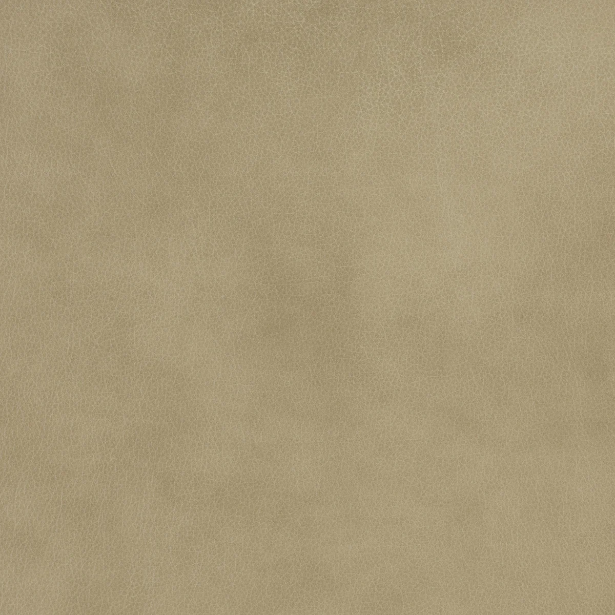 Mission Skylight swatch