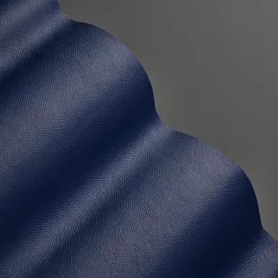 Mopane Bilberry swatch