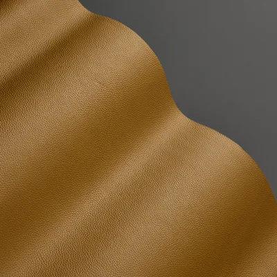 Mopane Parchment — Mopane swatch