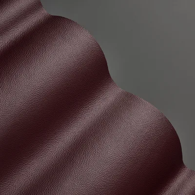 Mopane Philly — Mopane swatch