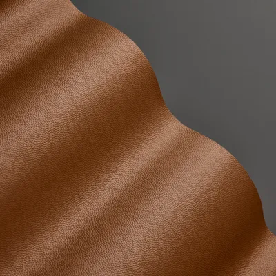 Mopane Saddle — Mopane swatch