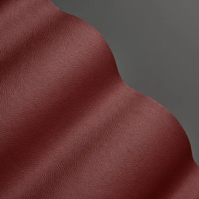 Mopane West — Mopane swatch