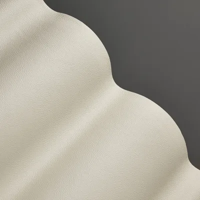 Mopane White — Mopane swatch
