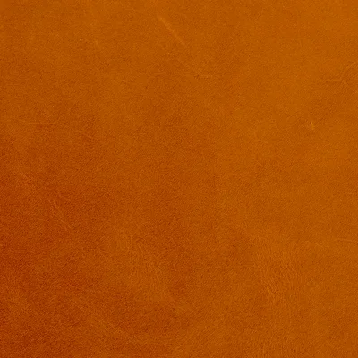 Newcastle Tan — Newcastle swatch, view 1