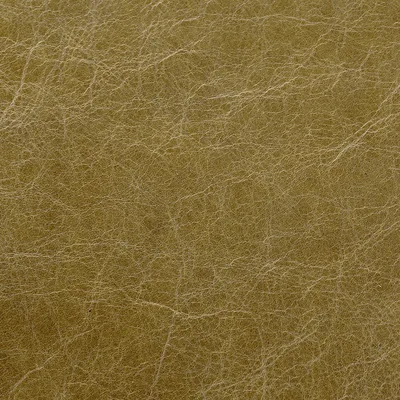Old English Alga swatch