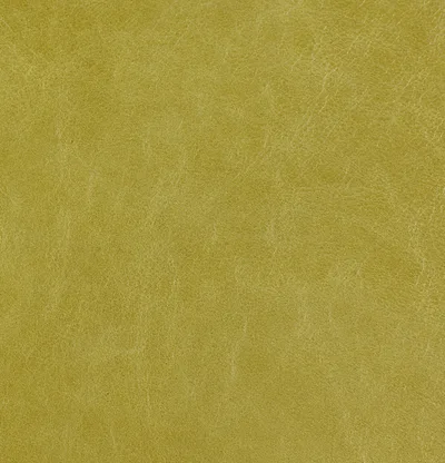 Old English Cardamom Seed swatch