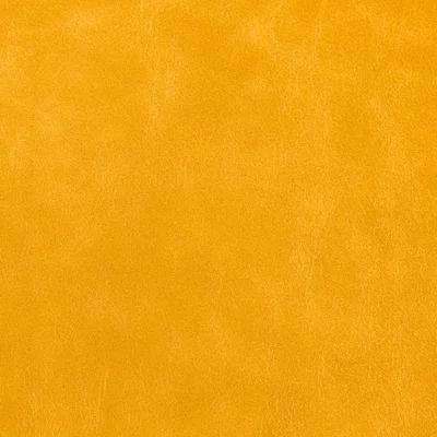 Old English Daffodil swatch