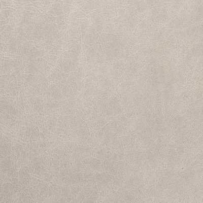 Old English Fossil Grey — Old English swatch, view 1