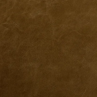 Old English Olive — Old English swatch, view 1