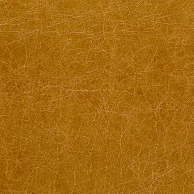 Old English Tan — Old English swatch, view 1