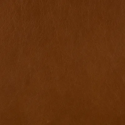Premium Caramel — Premium swatch, view 1