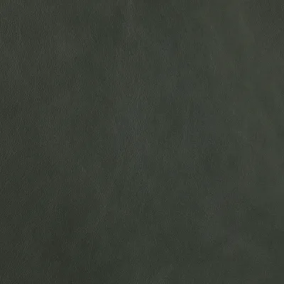 Premium Eucalyptus swatch