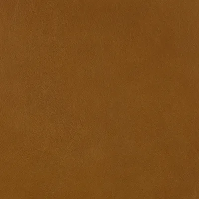 Premium Saddle swatch