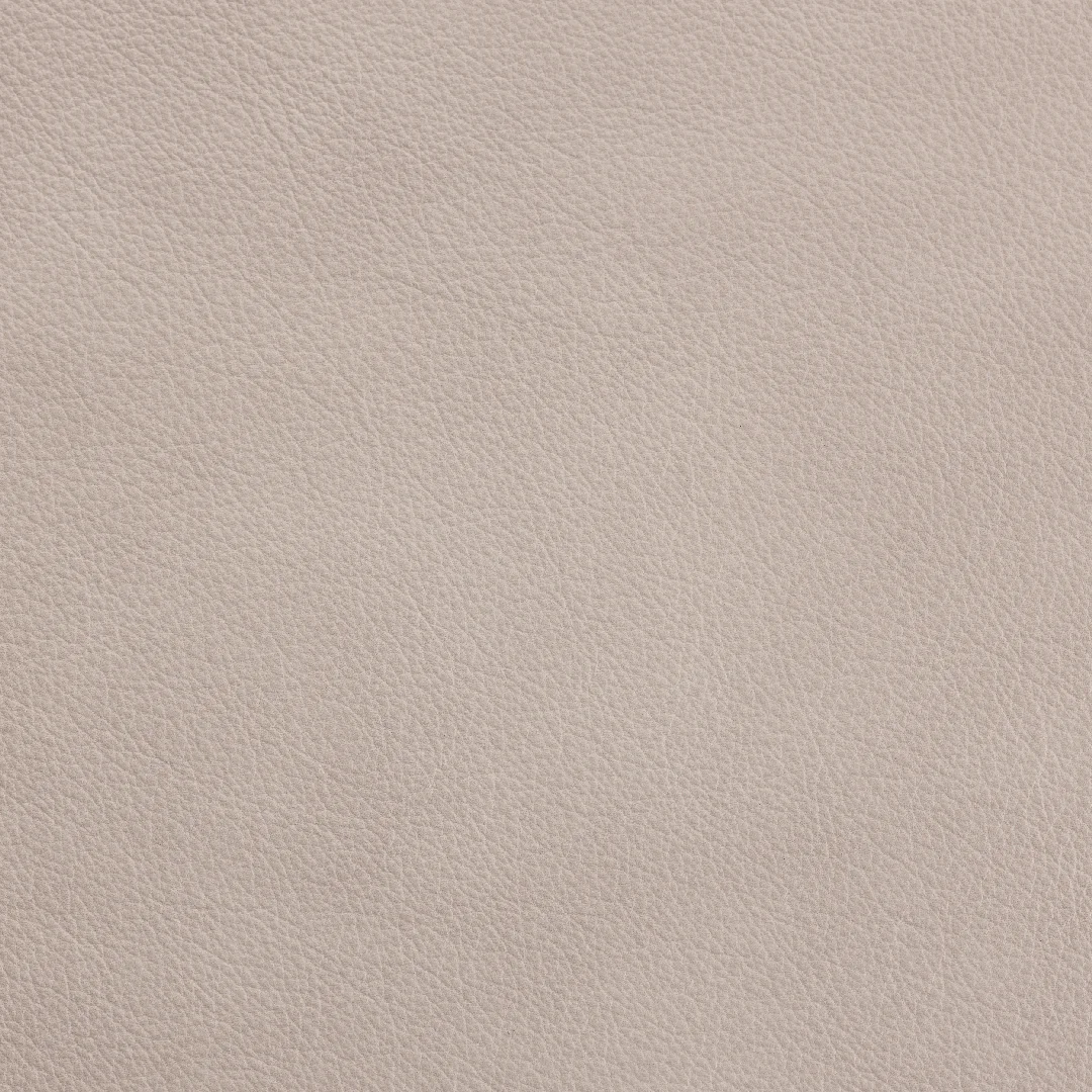 Regent Chalk swatch