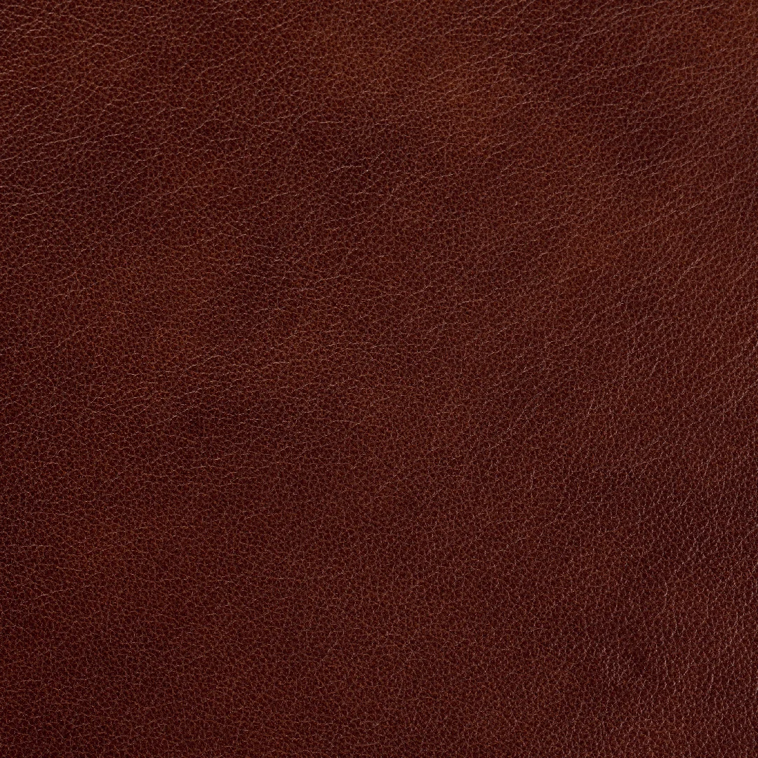 Regent Maple swatch