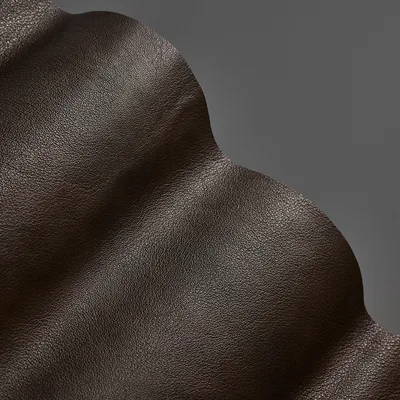 Regent Mink swatch