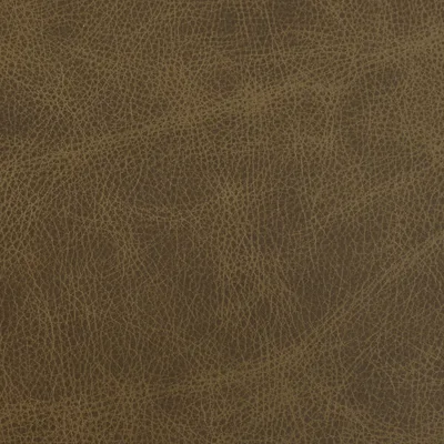 Saloon Chaps swatch