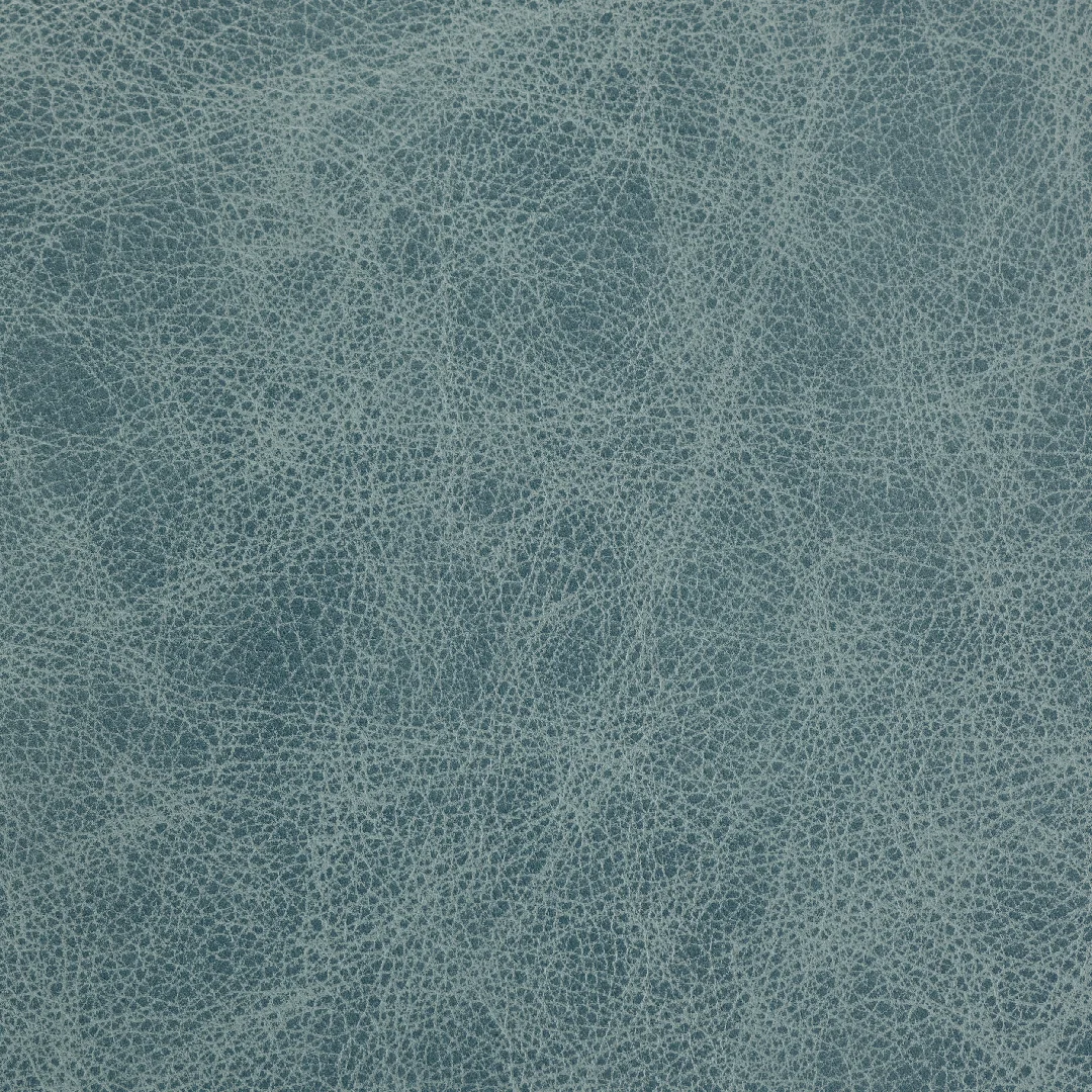 Saloon Cloud Nine swatch