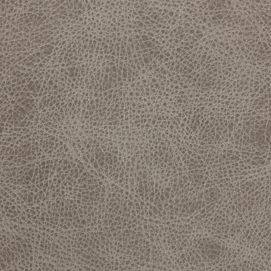 Saloon Dove Grey swatch