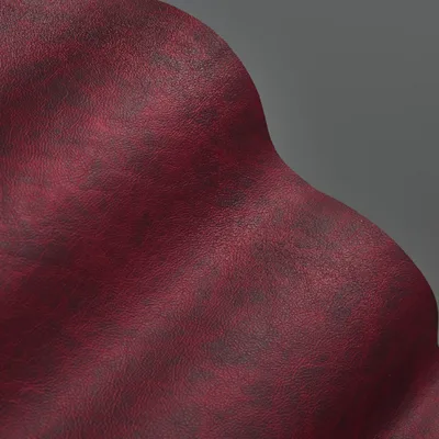 Saloon Garnet thumbnail 2